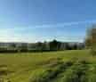 Casă Aluniș 10000 mp teren vie livadă