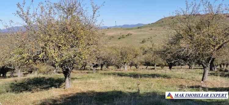 Teren extravilan de 4.021 mp cu livadă, situat lângă râul Argeșel și cu acces la șosea, ideal pentru proiecte agricole, Valea Mare-Pravăț, Argeș