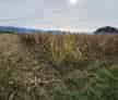 Teren Intravilan Hateg 5500 mp