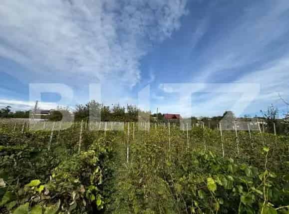 Teren Intravilan 3400mp Livada Fructifera Preutesti Suceava