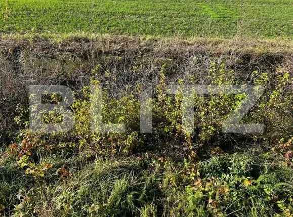 Teren pentru servicii, 1480mp, doua fronturi, Rudicica