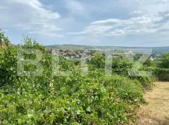 Teren Intravilan 1500mp Zona Lidl Bucium