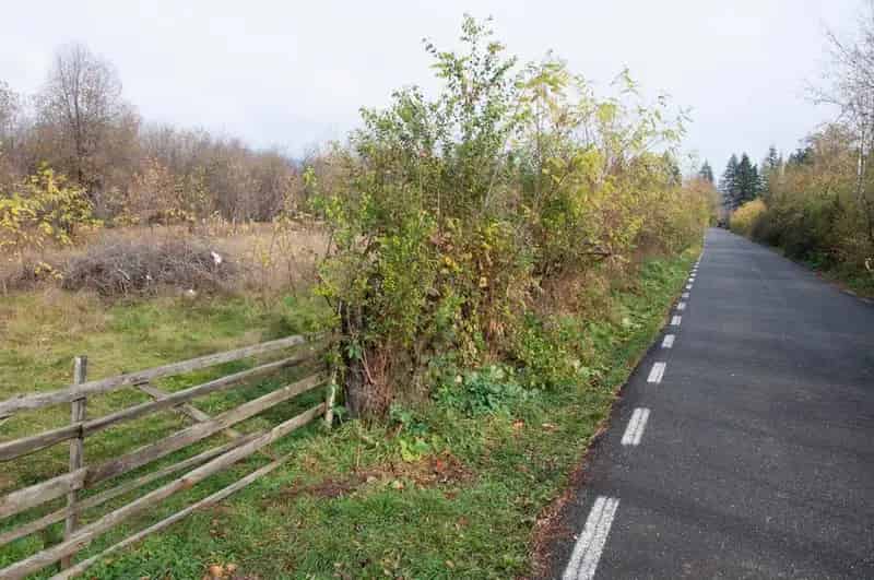 Teren Intravilan Polovragi - Pensiune Casa Vacanta