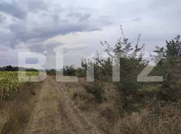Teren Extravilan 9000 mp Langa Padure