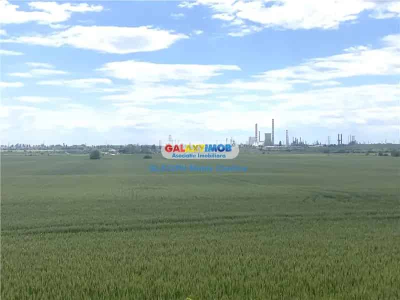Vanzare teren industrial Bucov DN1B