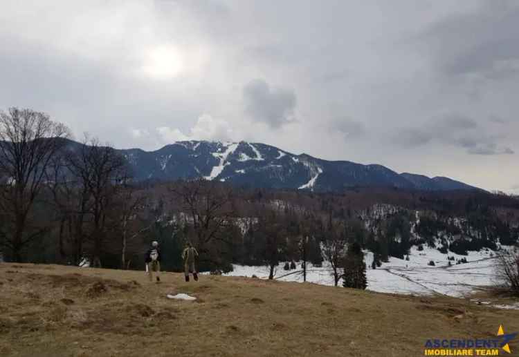 Vânzare terenuri Poiana Brașov - Terenuri pentru construcții cu peisaj spectaculos