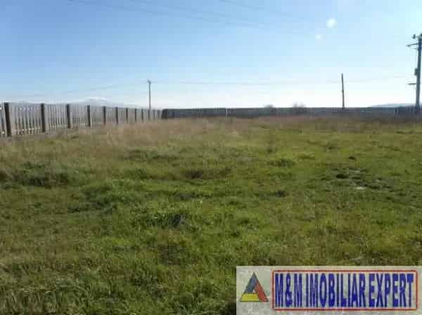 Teren 1536 mp Halchiu Brasov Rezidential