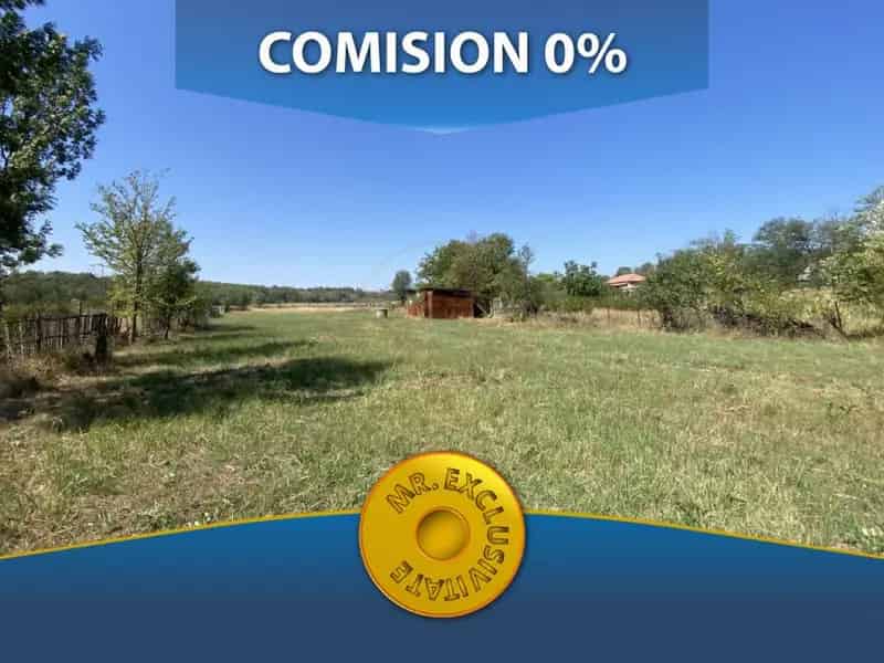 Teren de vanzare Albota Mares 13329 mp