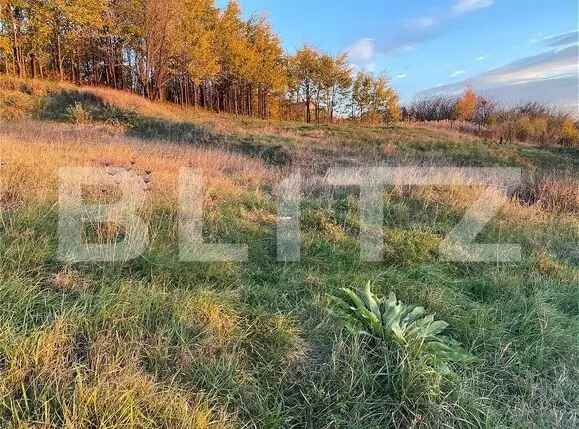 Teren Intravilan 1670 mp, în zona-Copou, Viticultori