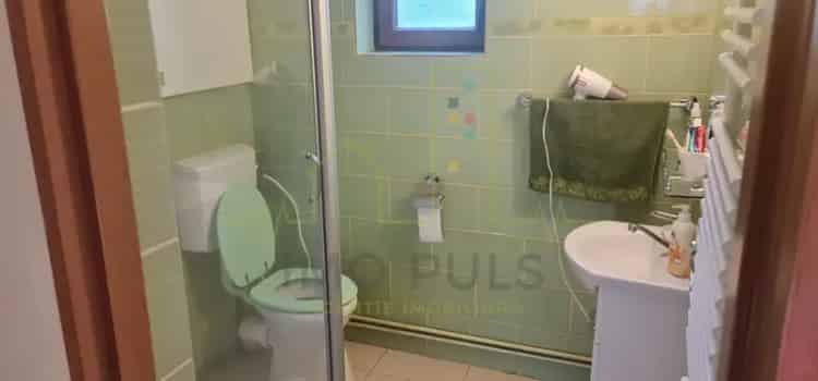 Mosnita Veche, casa individuala, mobilata si utilata, 5 camere, teren generos