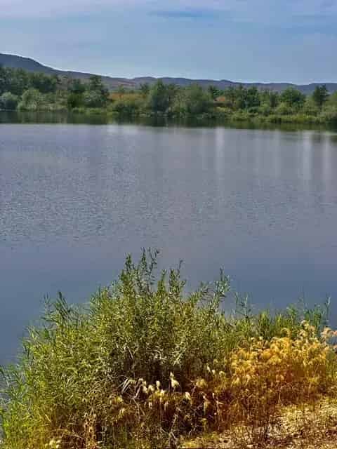 Lac de vanzare Cluj Gligoresti 204100 mp potential investitii