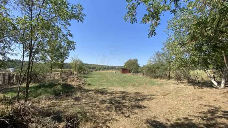 Teren Intravilan 2915 mp Albota Mares