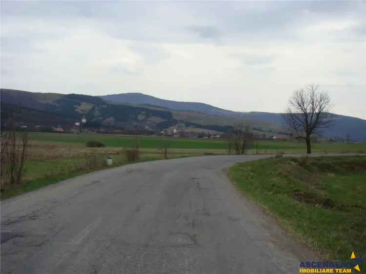 Domeniu de 6.000 mp, configuratie apreciabila, Dobarlau, Covasna