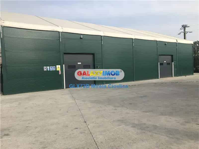 Inchiriere Hala Industriala Prahova DN1