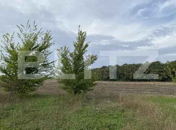 Teren intravilan 1900mp Valea Ursului cu vedere la Pădure