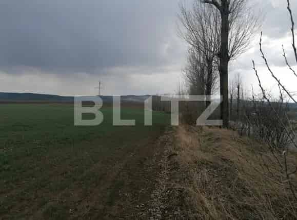 Teren Intravilan Ferma Liliac 450-500mp Utilitati