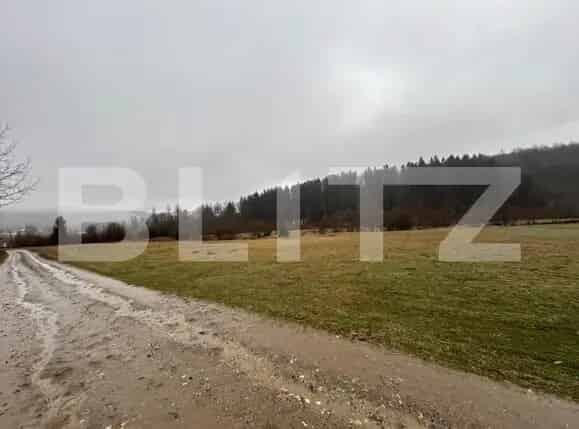 Teren Extravilan Paltinoasa 4150 mp Cabane