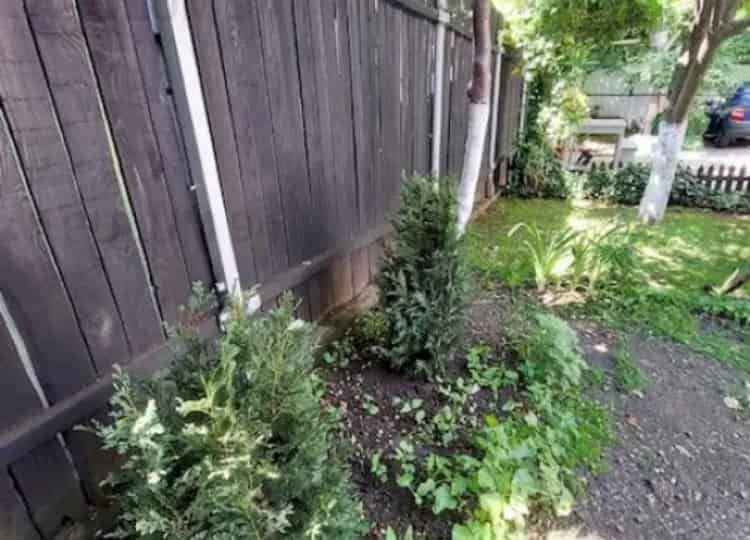 Teren cu casa demolabila din paianta Nitu Vasile- stradal