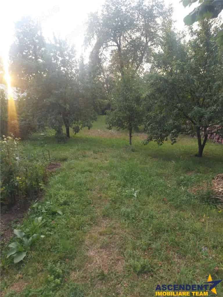 Casa 4 camere Tarlungeni cu gradina 440mp