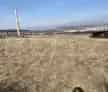 Teren Intravilan 690 mp Dumbrava Nord