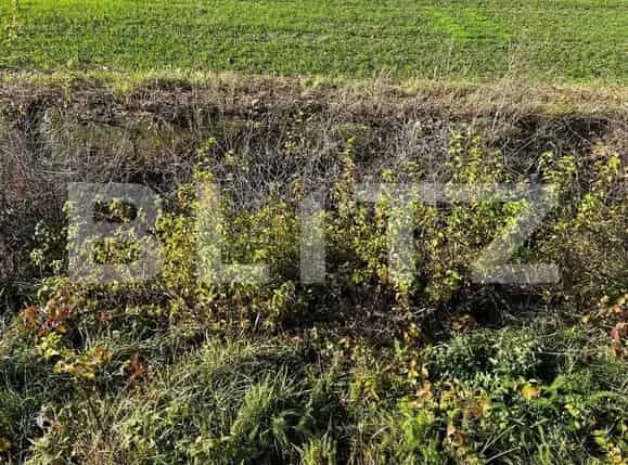 Teren Intravilan 1480mp Doua Fronturi Rudicica Spatii Comerciale