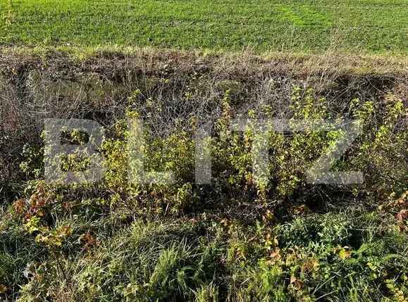 Teren pentru servicii, 1480mp, doua fronturi, Rudicica