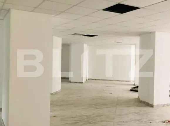 Spatiu comercial, 440 mp, zona Ultracentrala