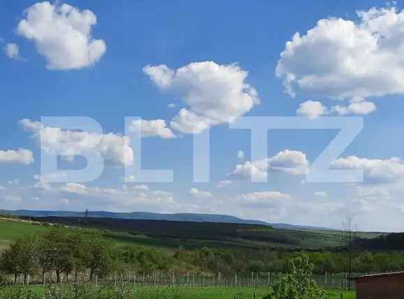 Casa/Vila de vanzare / posibil Pensiune ,cu view și pădure la colțul străzii