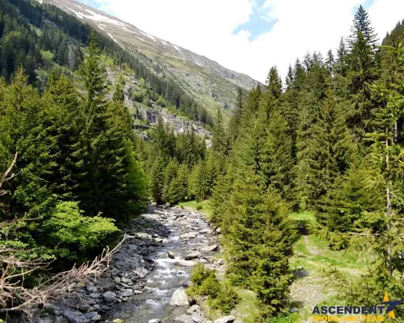 Teren Transfagarasan Hotel 4 stele Proiect Autorizat