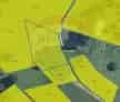 Teren Intravilan 5000 mp Poiana Aviatorilor Brasov