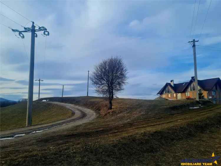 Oaza de liniste si frumusete, reconectare cu natura, 16.000 mp, Poiana Marului