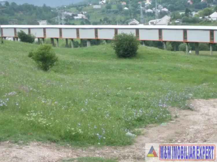 Teren extravilan de 1,1 ha cu deschidere de 60 m la șosea, potrivit pentru construcții comerciale, Valea Mare-Pravăț, Argeș