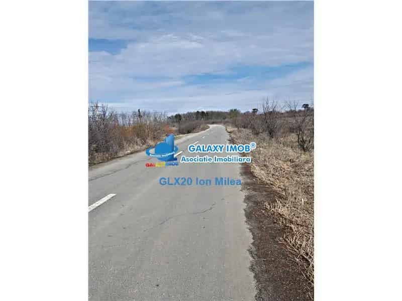 Vanzare teren 6600 mp Peris Padurea Scrovistea