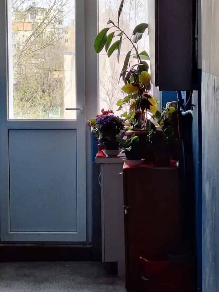 Camera Camin Renovata Iasi Mihail Sturza Baie Apa Calda