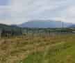 Teren intravilan 2396mp