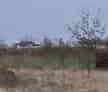 Teren intravilan ieftin Balotesti, 1050 mp, 23000 euro