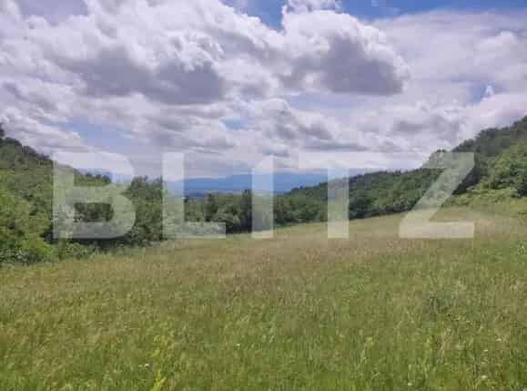 Teren Gusterita 28800 mp Camping Investitie