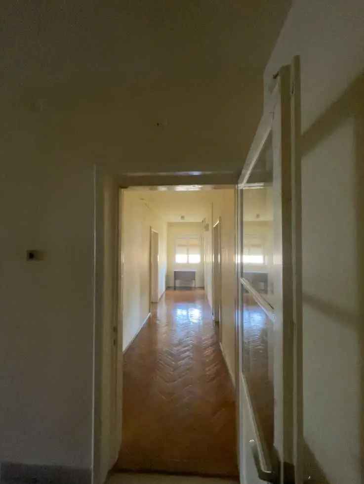 Apartament 3 camere