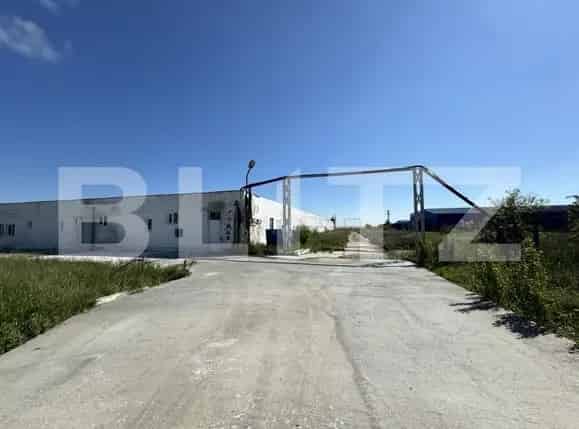 Spatiu industrial 28100mp Bucovati ferma pui abator hala