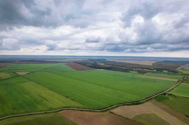 Teren Arabil 2912 Hectare Vaslui - Investitie Agricola