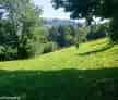 Teren Padure Dambovicioara Arges 40000 mp