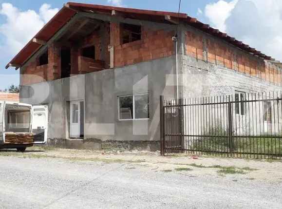 Casa 4 camere, 560 mp, Vinga