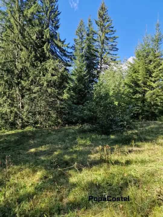 Teren extravilan Rasnov 778 mp langa DN73A