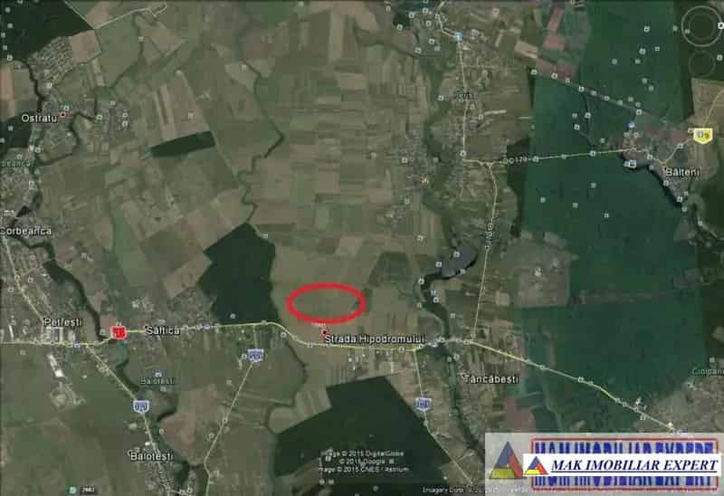 Teren 5000 mp Snagov Tancabesti Ilfov Extravilan