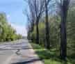Teren Constructii 650mp Ciorogarla Langa Padure Utilitati