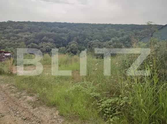 Teren 2350 mp langa padure Leamna de Jos