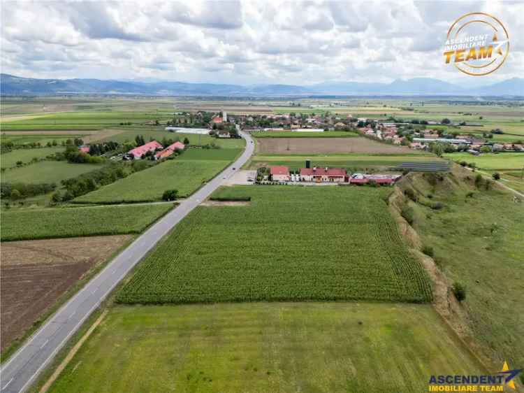 Teren arabil 3.000 mp, potential investitional, Coseni, Covasna