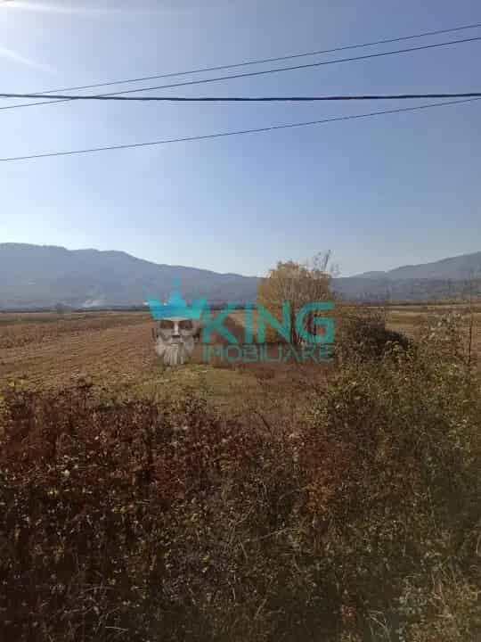 Teren Calimanesti 4450mp Vanzare